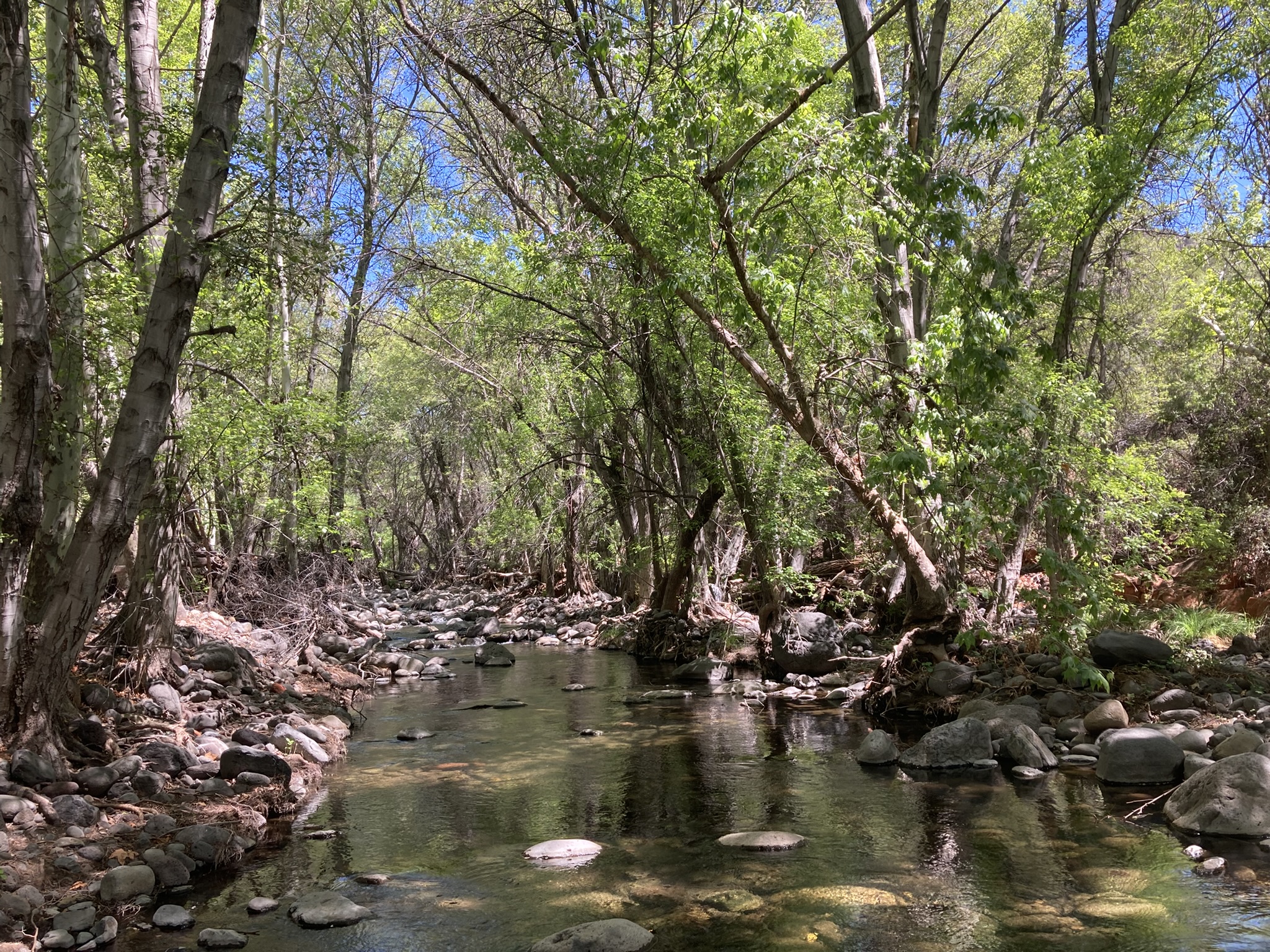 creek